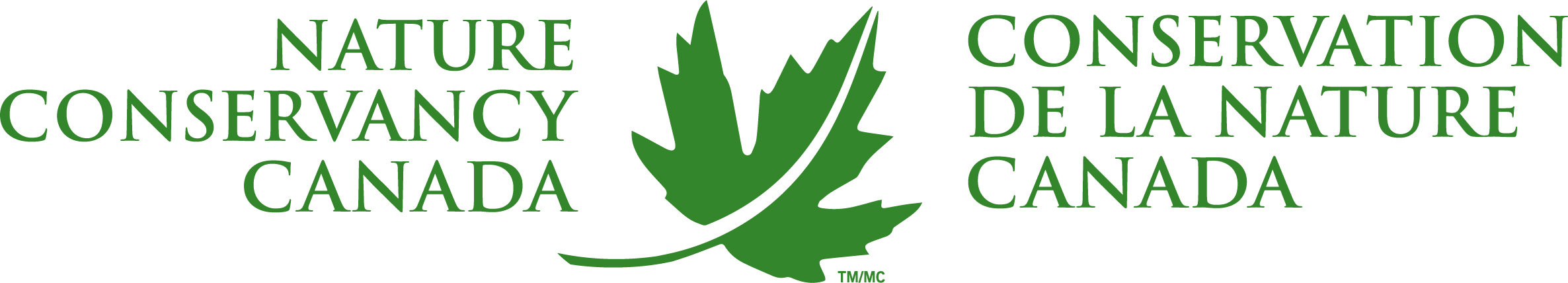 NCC Horizontal Wordmark BIL EF Logo